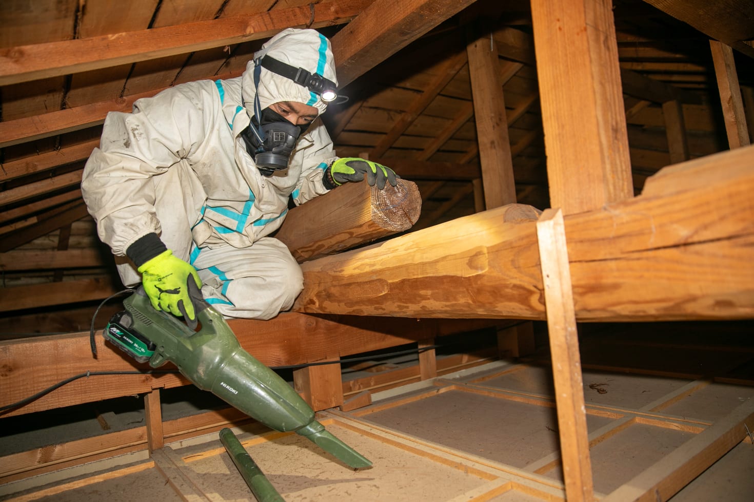 屋根裏を点検する作業スタッフ